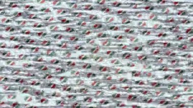 Yaratıcı video düzenleme film arkaplan tasarımı için minimalist organik hareket grafikleri