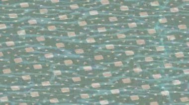 Yaratıcı video düzenleme film arkaplan tasarımı için minimalist organik hareket grafikleri