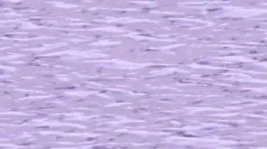 Dijital doku yüzey tasarım biçimi ile modern video animasyonu için gelişmiş hareket grafikleri