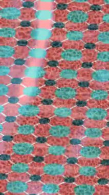 Benzersiz dijital hareket grafiklerine sahip yaratıcı sinematik projeler için yumuşak animasyon yüzeyi