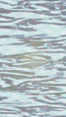 Profesyonel video projeleri sanat tarzı için organik hareketli arkaplan tasarımı