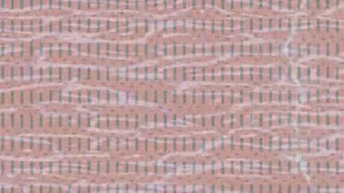 Benzersiz hareket grafikleri tasarım sanatına sahip yaratıcı film üretimi için özet bir arkaplan