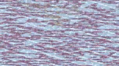 Benzersiz video giriş tasarımı projeleri için detaylı yüzey kalıbı film animasyon stili grafik girişi