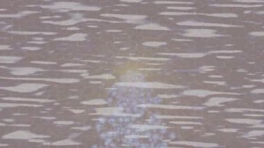 Benzersiz hareket grafikleri tasarım sanatına sahip yaratıcı film üretimi için özet bir arkaplan