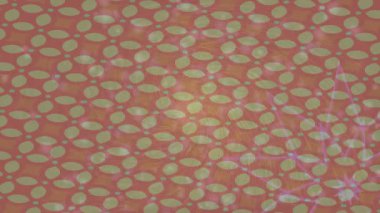 Benzersiz video giriş tasarımı projeleri için detaylı yüzey kalıbı film animasyon stili grafik girişi