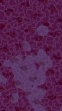 Soyut hareket desenli fütüristik video üretimi için dinamik dijital arkaplan