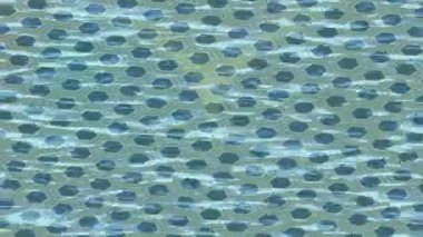 Profesyonel video projeleri sanat tarzı için organik hareketli arkaplan tasarımı