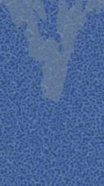 Lüks hareket projeleri için soyut tasarım stili animasyonu olan üst düzey dijital doku