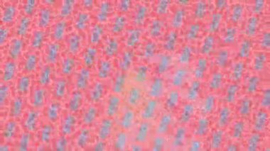 Yaratıcı video düzenleme film arkaplan tasarımı için minimalist organik hareket grafikleri