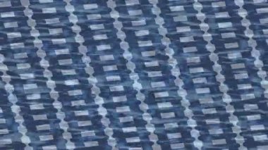 Profesyonel video projeleri sanat tarzı için organik hareketli arkaplan tasarımı