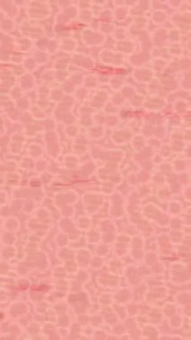 Benzersiz hareket grafikleri tasarım sanatına sahip yaratıcı film üretimi için özet bir arkaplan