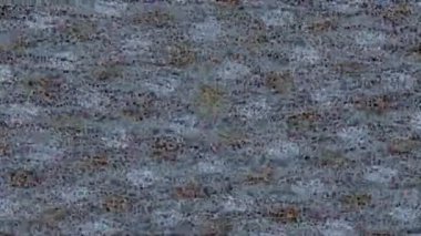 Lüks hareket projeleri için soyut tasarım stili animasyonu olan üst düzey dijital doku