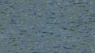 Yaratıcı video düzenleme film arkaplan tasarımı için minimalist organik hareket grafikleri