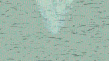 Benzersiz dijital animasyon tarzı grafikleri olan yaratıcı ortam tasarımı için yenilikçi hareket dokusu