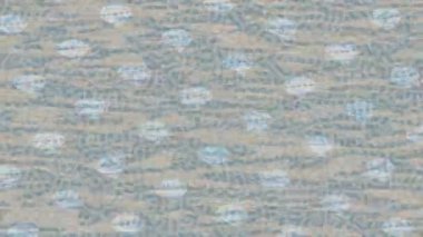 Lüks hareket tasarımı üst düzey video projeleri ve dijital sanat için zarif, pürüzsüz bir dokusu var.