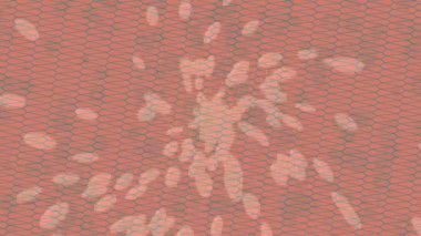 Benzersiz video giriş tasarımı projeleri için detaylı yüzey kalıbı film animasyon stili grafik girişi