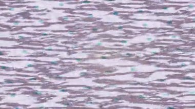 Benzersiz video giriş tasarımı projeleri için detaylı yüzey kalıbı film animasyon stili grafik girişi