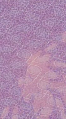 Dijital doku yüzey tasarım biçimi ile modern video animasyonu için gelişmiş hareket grafikleri