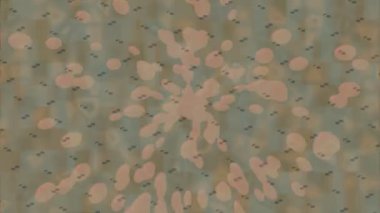 Yaratıcı video düzenleme film arkaplan tasarımı için minimalist organik hareket grafikleri