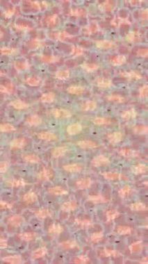 Benzersiz dijital hareket grafiklerine sahip yaratıcı sinematik projeler için yumuşak animasyon yüzeyi