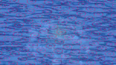 Estetik doku arkaplan tasarımı renkli hareket grafikleri ile moda film giriş profosyoneli