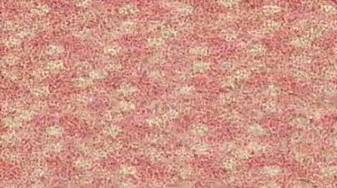 Yaratıcı video düzenleme film arkaplan tasarımı için minimalist organik hareket grafikleri