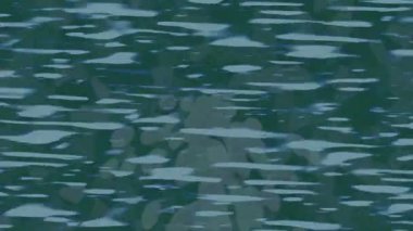 Benzersiz hareket dokusu tasarım sanatı ile profesyonel video düzenleme için modern soyut grafikler