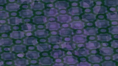 Benzersiz hareket grafikleri tasarım sanatına sahip yaratıcı film üretimi için özet bir arkaplan