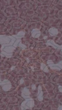 Yaratıcı video düzenleme film arkaplan tasarımı için minimalist organik hareket grafikleri