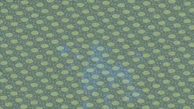 Benzersiz dijital hareket grafiklerine sahip yaratıcı sinematik projeler için yumuşak animasyon yüzeyi