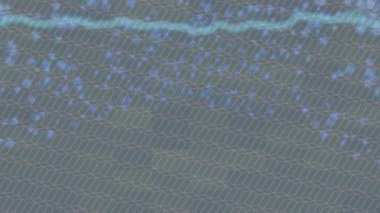 Lüks hareket tasarımı üst düzey video projeleri ve dijital sanat için zarif, pürüzsüz bir dokusu var.