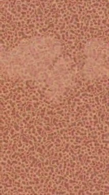 Yaratıcı video düzenleme film tasarımı için benzersiz hareket grafikleri biçimi giriş hareketi video pro