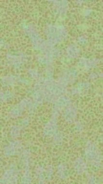 Benzersiz video giriş tasarımı projeleri için detaylı yüzey kalıbı film animasyon stili grafik girişi