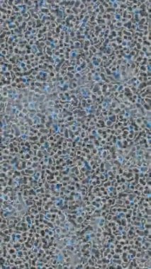 Benzersiz hareket dokusu tasarım sanatı ile profesyonel video düzenleme için modern soyut grafikler