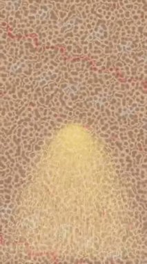 Yaratıcı video düzenleme film arkaplan tasarımı için minimalist organik hareket grafikleri