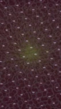 Yaratıcı video düzenleme film arkaplan tasarımı için minimalist organik hareket grafikleri