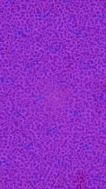 Benzersiz dijital animasyon tarzı grafikleri olan yaratıcı ortam tasarımı için yenilikçi hareket dokusu