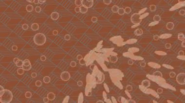 Profesyonel video projeleri sanat tarzı için organik hareketli arkaplan tasarımı