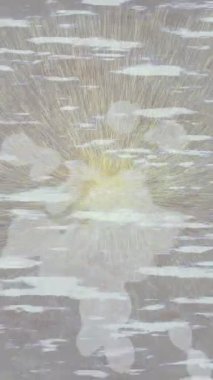 Dijital doku yüzey tasarım biçimi ile modern video animasyonu için gelişmiş hareket grafikleri