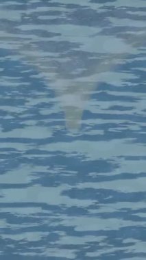 Yaratıcı video düzenleme film tasarımı için benzersiz hareket grafikleri biçimi giriş hareketi video pro