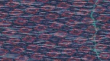 Benzersiz video giriş tasarımı projeleri için detaylı yüzey kalıbı film animasyon stili grafik girişi