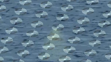 Benzersiz dijital hareket grafiklerine sahip yaratıcı sinematik projeler için yumuşak animasyon yüzeyi