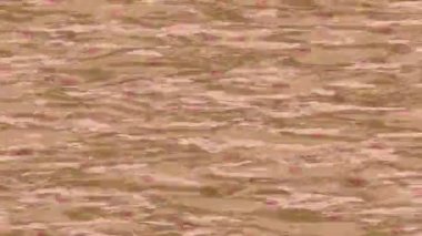 Soyut hareket desenli fütüristik video üretimi için dinamik dijital arkaplan