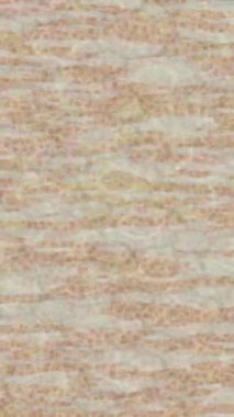 Benzersiz hareket grafikleri tasarım sanatına sahip yaratıcı film üretimi için özet bir arkaplan