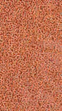 Organik desenli yüzey giriş stili video film sanatı ile soyut arkaplan tasarımı