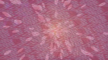 Yaratıcı video düzenleme film arkaplan tasarımı için minimalist organik hareket grafikleri