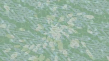 Soyut hareket desenli fütüristik video üretimi için dinamik dijital arkaplan