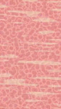 Benzersiz video giriş tasarımı projeleri için detaylı yüzey kalıbı film animasyon stili grafik girişi