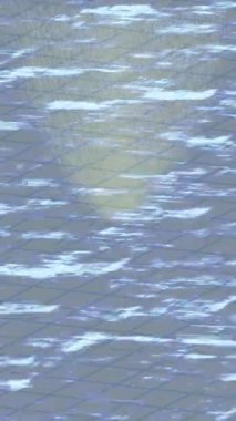 Benzersiz dijital hareket grafiklerine sahip yaratıcı sinematik projeler için yumuşak animasyon yüzeyi