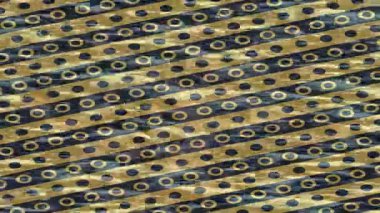 Profesyonel video projeleri sanat tarzı için organik hareketli arkaplan tasarımı